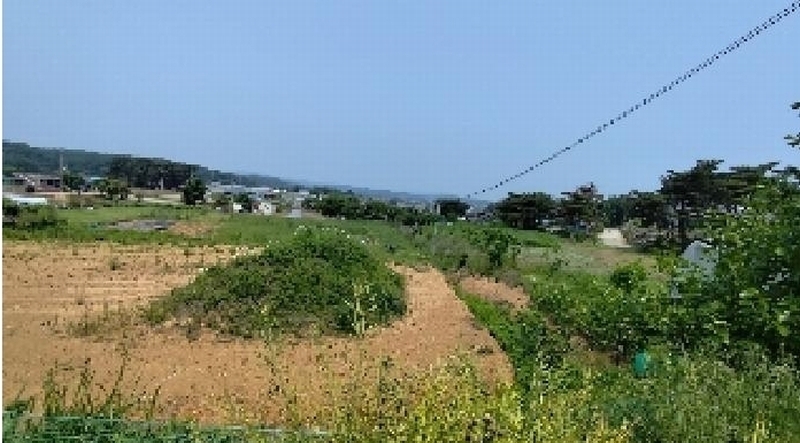 2025타경15729 충청남도 보령시 청소면 야현리 205-7 농지 경매 이미지