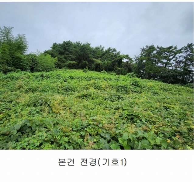 2025타경15984 충청남도 보령시 오천면 원산도리 333-6 임야 경매 이미지