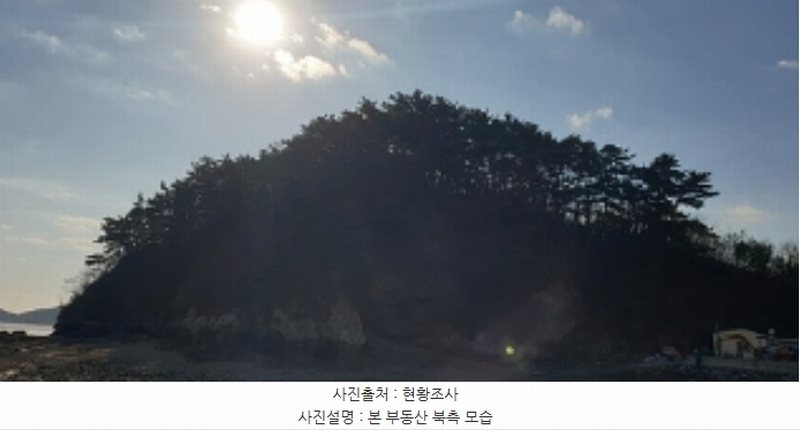 2025타경15984 충청남도 보령시 오천면 원산도리 333-6 임야 경매 이미지