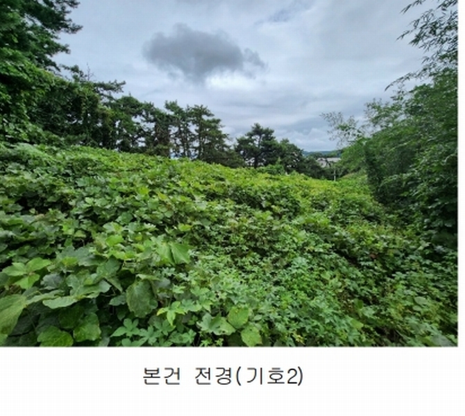2025타경15984 충청남도 보령시 오천면 원산도리 333-6 임야 경매 이미지