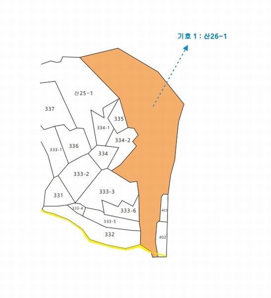2025타경15984 충청남도 보령시 오천면 원산도리 333-6 임야 경매 이미지
