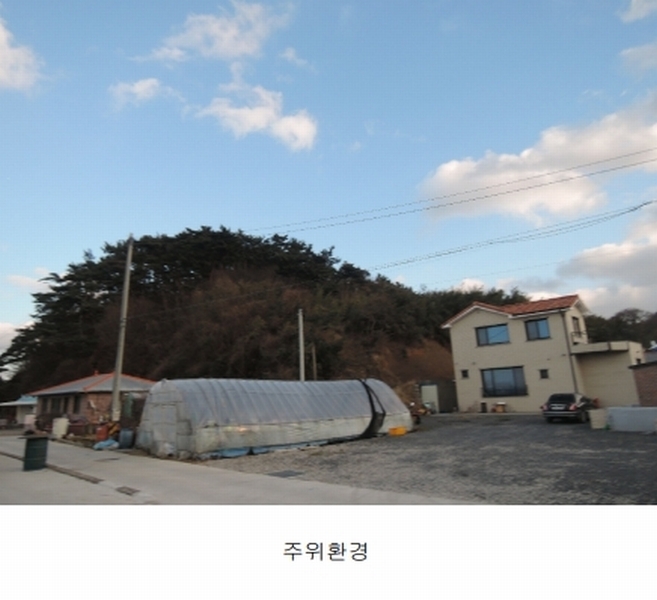 2025타경15984 충청남도 보령시 오천면 원산도리 333-6 임야 경매 이미지
