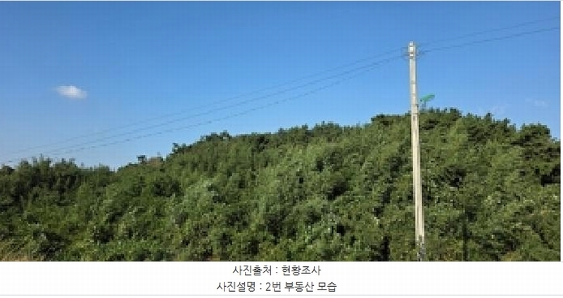 2025타경15984 충청남도 보령시 오천면 원산도리 333-6 임야 경매 이미지