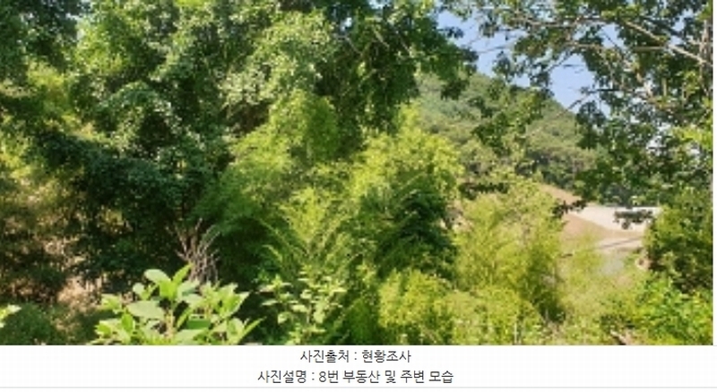 2024타경2053 충청남도 예산군 예산읍 향천리 37-1 농지 경매 이미지