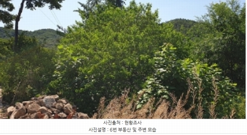 2024타경2053 충청남도 예산군 예산읍 향천리 37-1 농지 경매 이미지