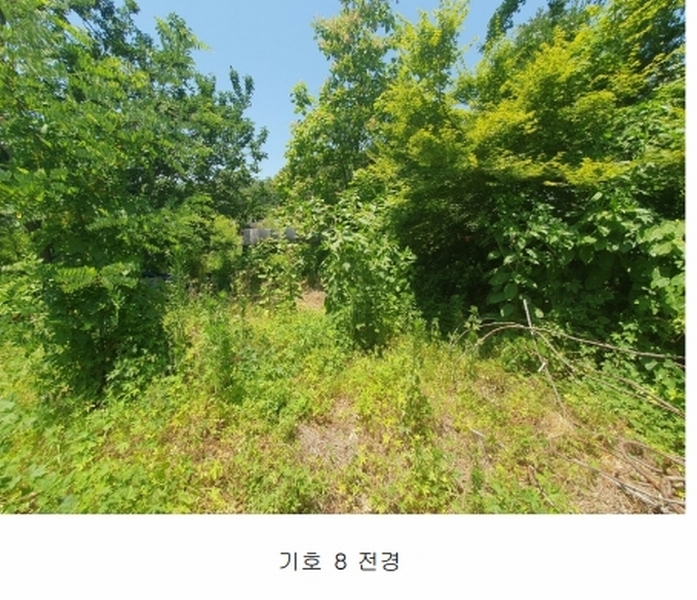 2024타경2053 충청남도 예산군 예산읍 향천리 37-1 농지 경매 이미지