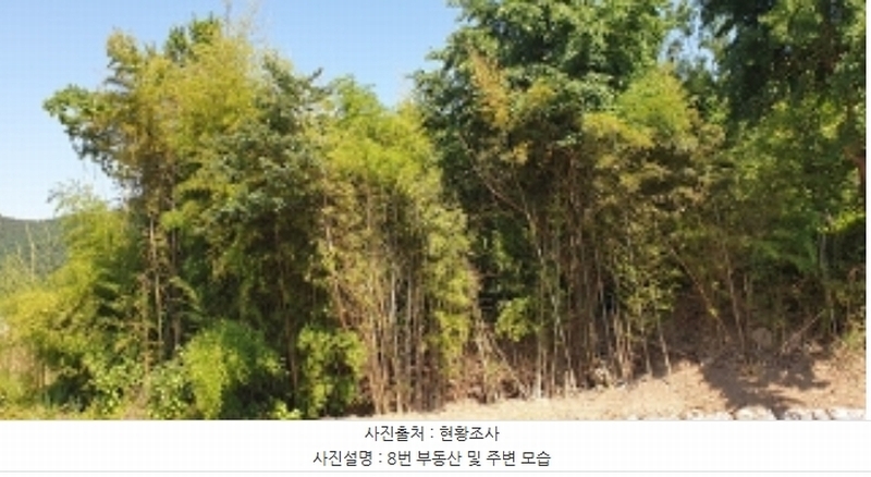 2024타경2053 충청남도 예산군 예산읍 향천리 37-1 농지 경매 이미지