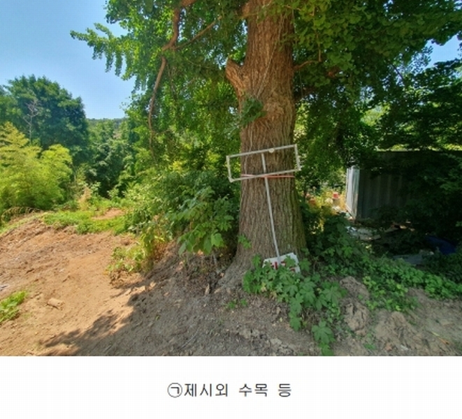 2024타경2053 충청남도 예산군 예산읍 향천리 37-1 농지 경매 이미지