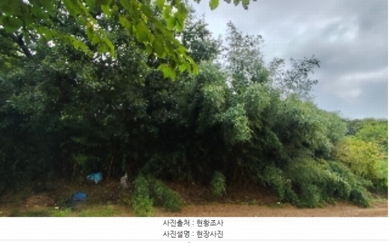2024타경20082 충청남도 홍성군 광천읍 광천리 162-11 임야 경매 이미지