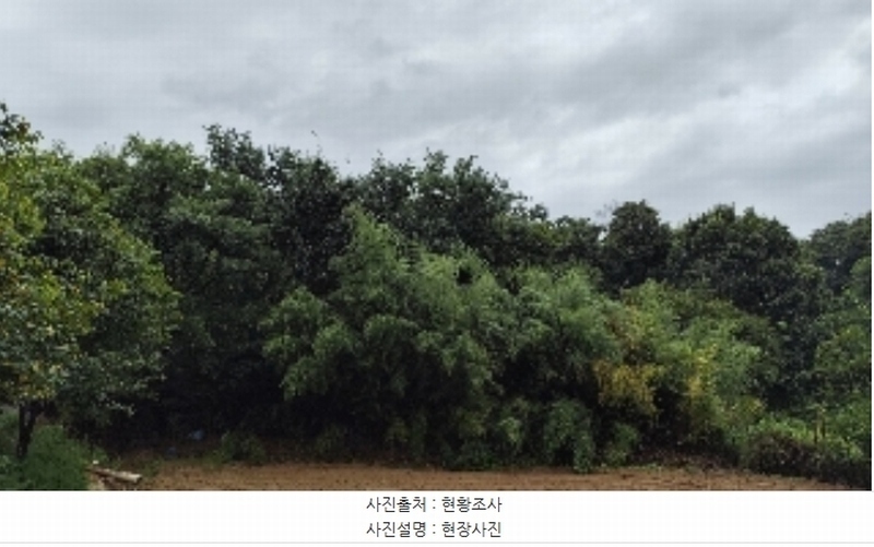2024타경20082 충청남도 홍성군 광천읍 광천리 162-11 임야 경매 이미지