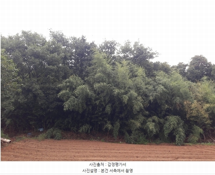 2024타경20082 충청남도 홍성군 광천읍 광천리 162-11 임야 경매 이미지
