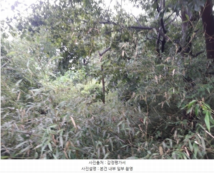 2024타경20082 충청남도 홍성군 광천읍 광천리 162-11 임야 경매 이미지