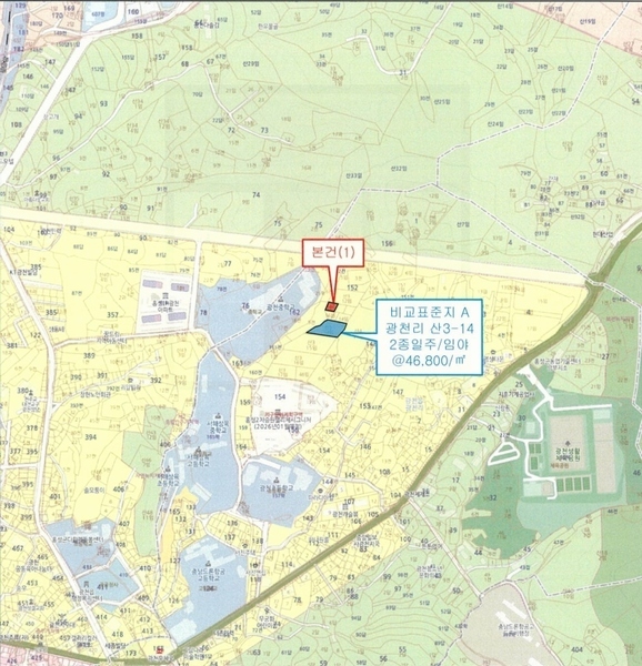 2024타경20082 충청남도 홍성군 광천읍 광천리 162-11 임야 경매 이미지