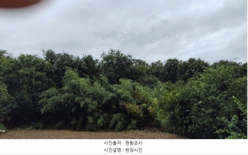 2024타경20082 충청남도 홍성군 광천읍 광천리 162-11 임야 경매 이미지