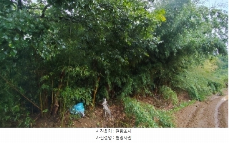 2024타경20082 충청남도 홍성군 광천읍 광천리 162-11 임야 경매 이미지