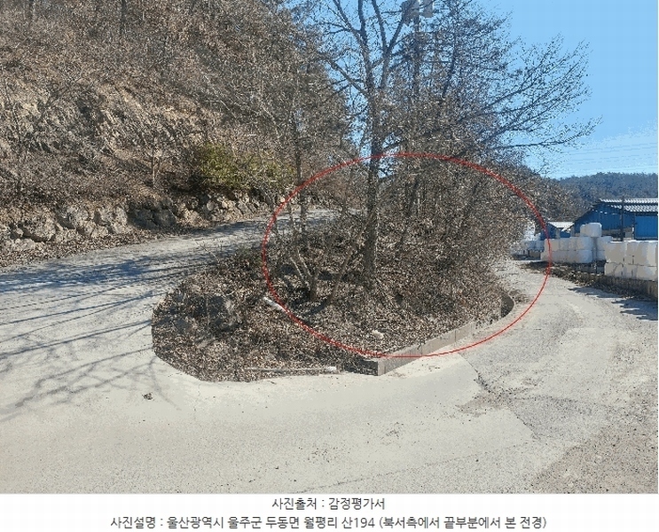 2025타경924 울산광역시 울주군 두동면 월평리 산194 임야 경매 이미지