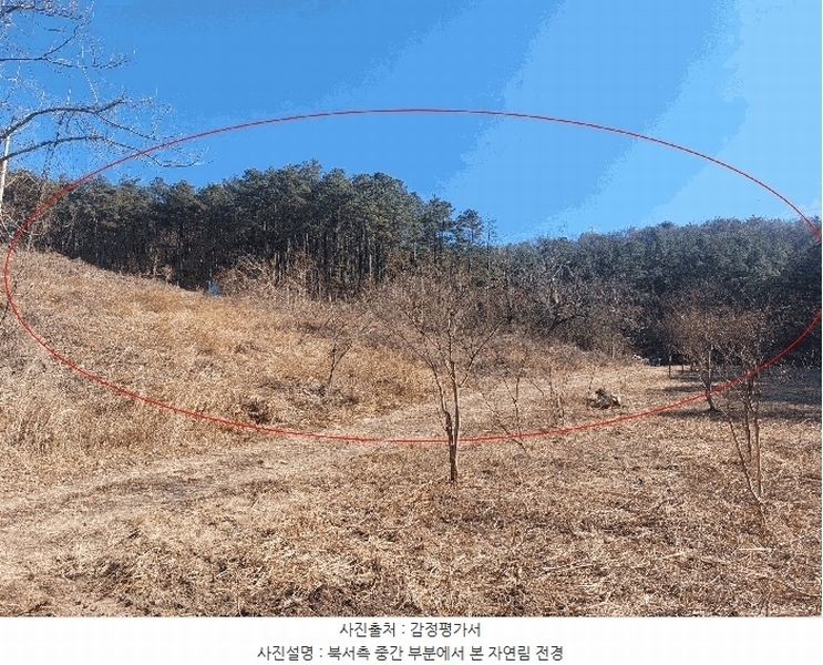 2025타경924 울산광역시 울주군 두동면 월평리 산194 임야 경매 이미지