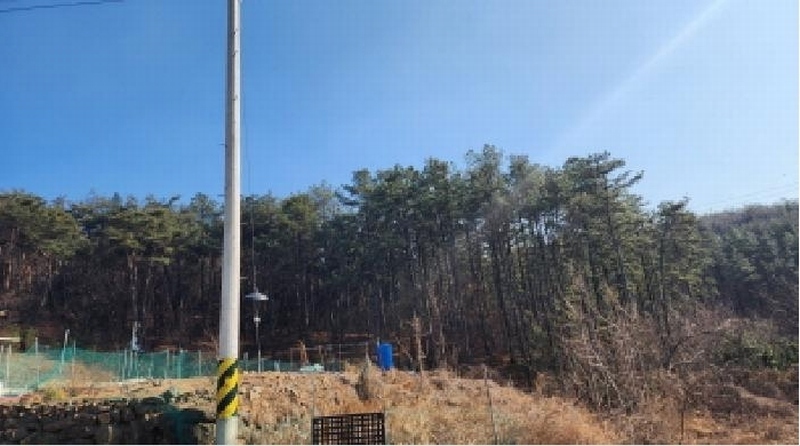 2025타경924 울산광역시 울주군 두동면 월평리 산194 임야 경매 이미지