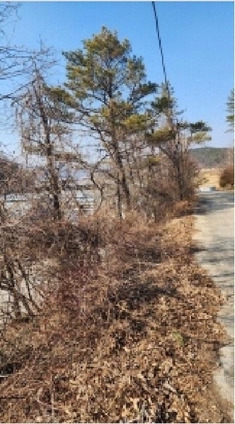 2025타경924 울산광역시 울주군 두동면 월평리 산194 임야 경매 이미지