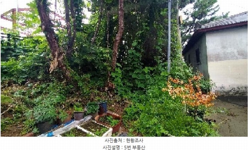 2025타경1112 충청남도 보령시 대천동 1238-8 농지 경매 이미지