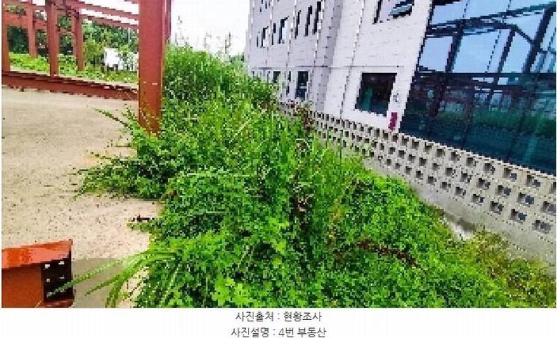 2025타경1112 충청남도 보령시 대천동 1238-8 농지 경매 이미지