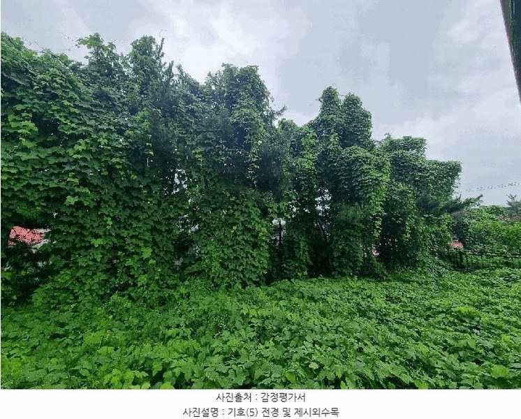 2025타경1112 충청남도 보령시 대천동 1238-8 농지 경매 이미지