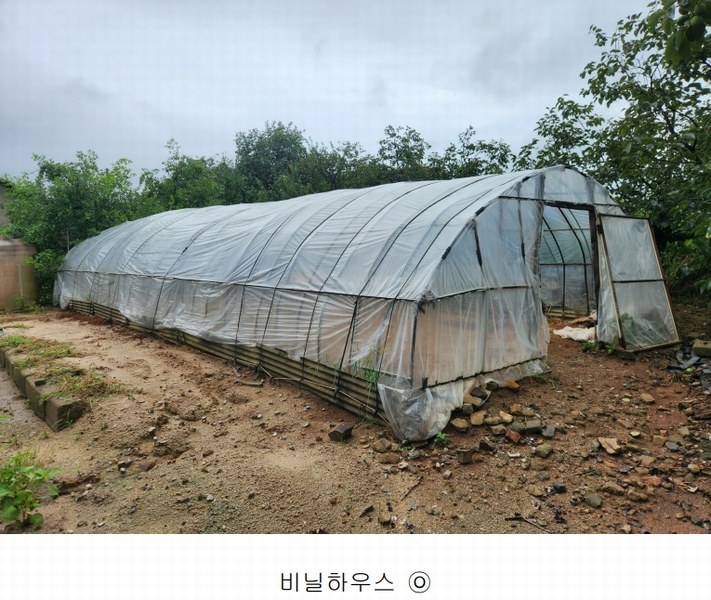 2025타경1121 충청남도 홍성군 홍성읍 월산리 85-1 농지 경매 이미지