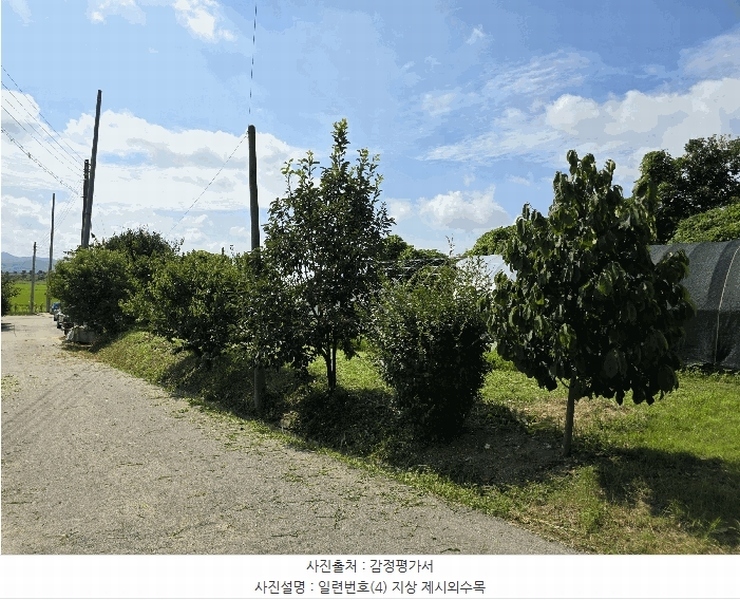 2025타경1126 충청남도 예산군 오가면 원천리 531-2 주택 경매 이미지