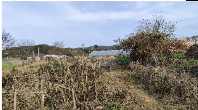 2025타경15717 충청남도 보령시 웅천읍 독산리 663-7 농지 경매 이미지