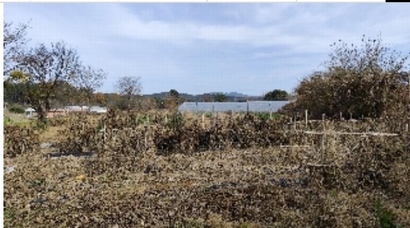 2025타경15717 충청남도 보령시 웅천읍 독산리 663-7 농지 경매 이미지