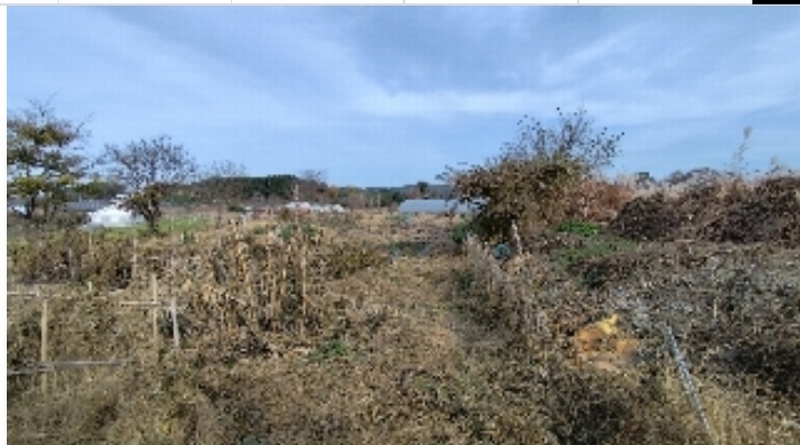 2025타경15717 충청남도 보령시 웅천읍 독산리 663-7 농지 경매 이미지