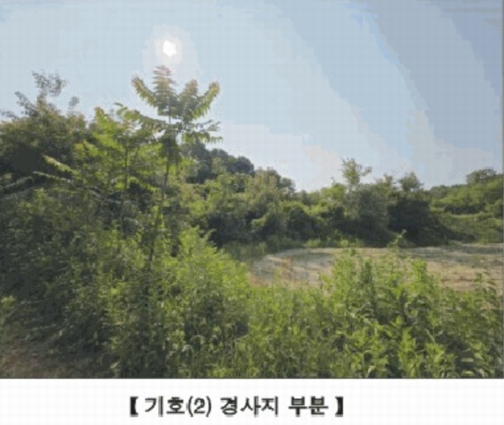 2025타경15727 충청남도 홍성군 홍동면 원천리 산41-6 농지 경매 이미지