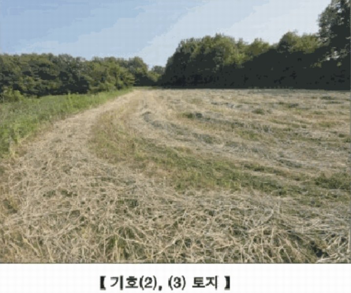 2025타경15727 충청남도 홍성군 홍동면 원천리 산41-6 농지 경매 이미지