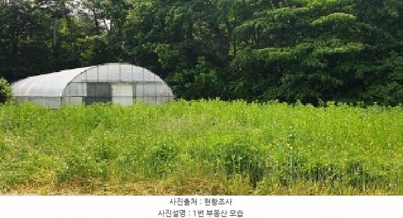2025타경15727 충청남도 홍성군 홍동면 원천리 산41-6 농지 경매 이미지