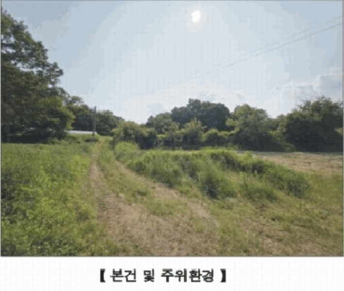 2025타경15727 충청남도 홍성군 홍동면 원천리 산41-6 농지 경매 이미지