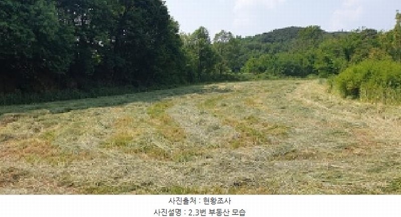 2025타경15727 충청남도 홍성군 홍동면 원천리 산41-6 농지 경매 이미지