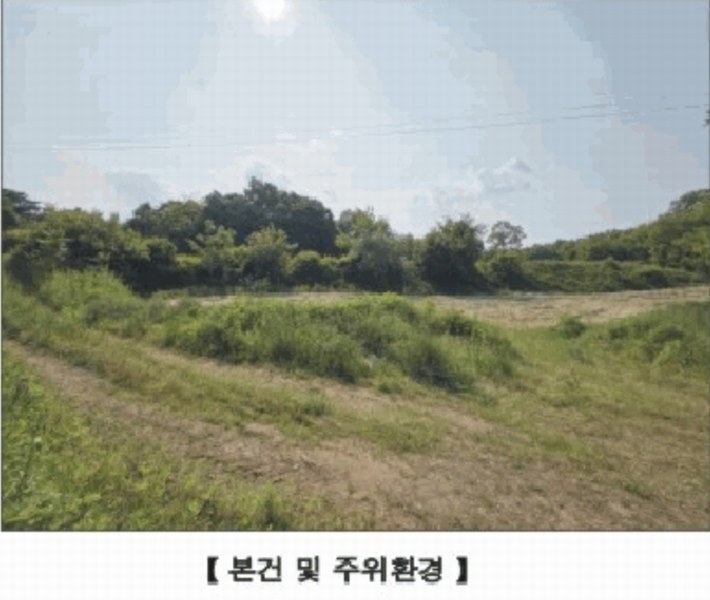 2025타경15727 충청남도 홍성군 홍동면 원천리 산41-6 농지 경매 이미지