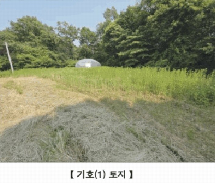 2025타경15727 충청남도 홍성군 홍동면 원천리 산41-6 농지 경매 이미지