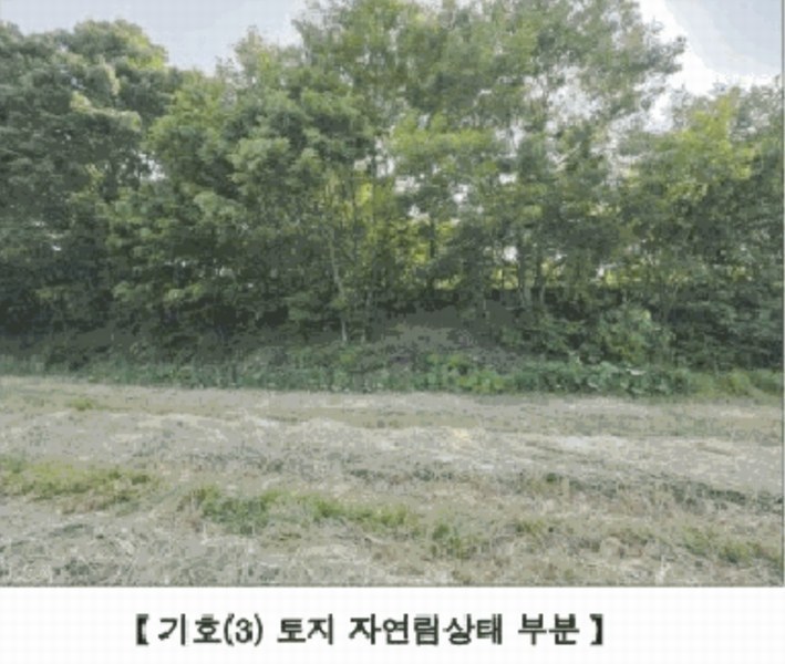 2025타경15727 충청남도 홍성군 홍동면 원천리 산41-6 농지 경매 이미지