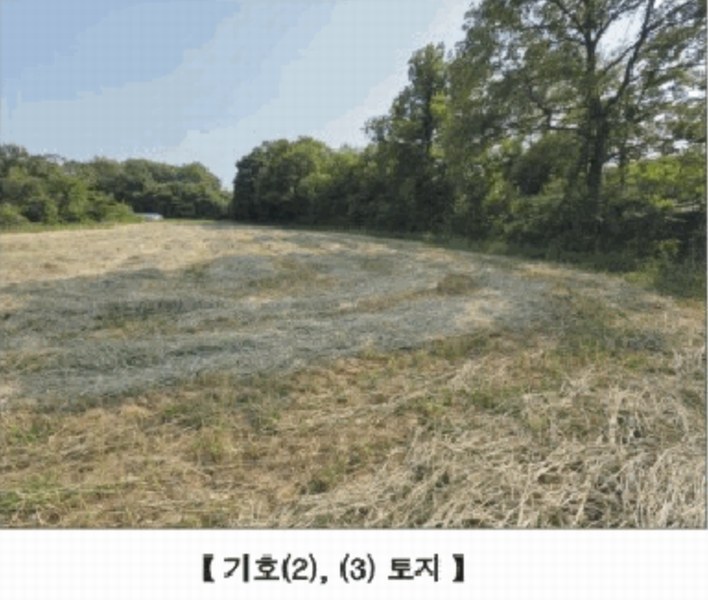 2025타경15727 충청남도 홍성군 홍동면 원천리 산41-6 농지 경매 이미지