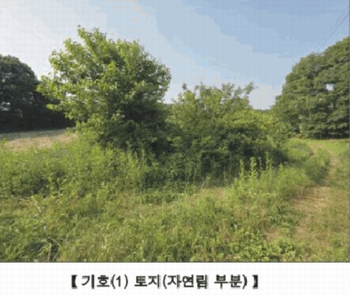 2025타경15727 충청남도 홍성군 홍동면 원천리 산41-6 농지 경매 이미지