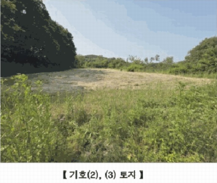 2025타경15727 충청남도 홍성군 홍동면 원천리 산41-6 농지 경매 이미지