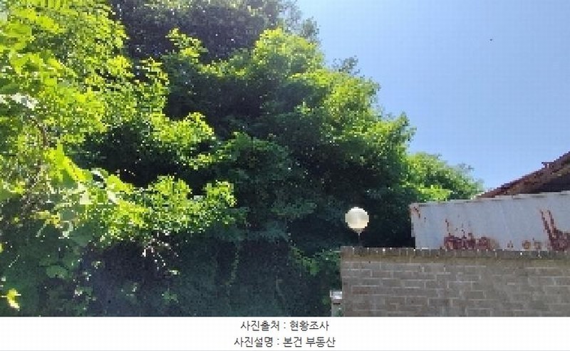 2025타경15779 충청남도 서천군 장항읍 원수리 132-86 임야 경매 이미지