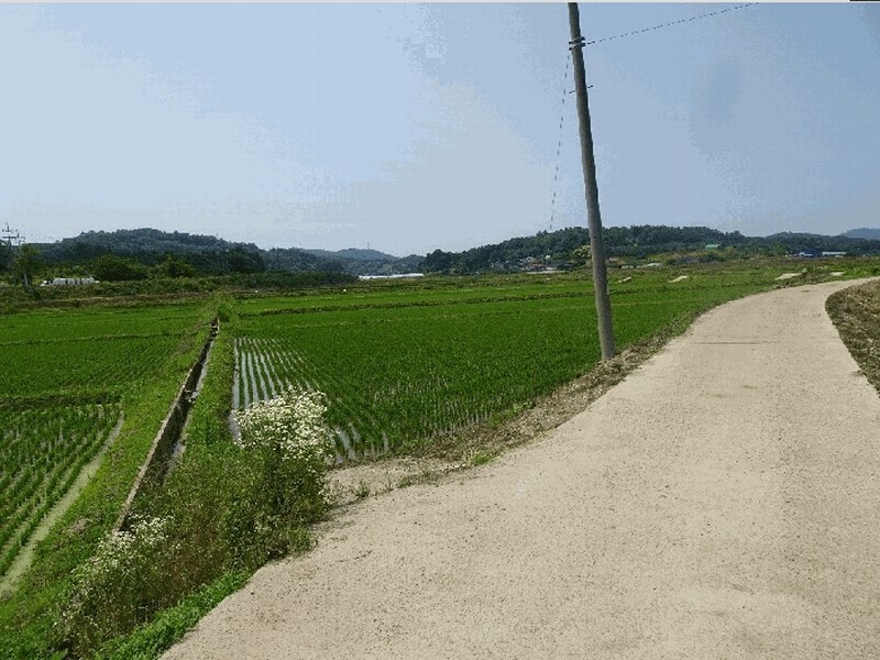 2025타경15785 충청남도 예산군 봉산면 마교리 160-8 농지 경매 이미지