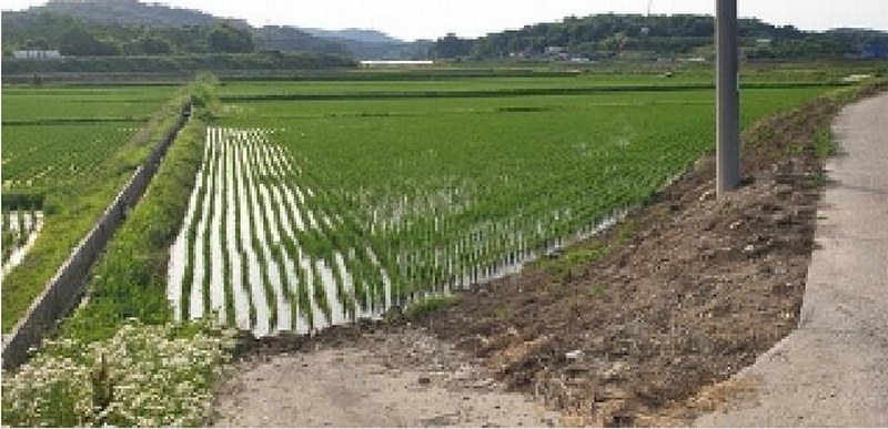2025타경15785 충청남도 예산군 봉산면 마교리 160-8 농지 경매 이미지
