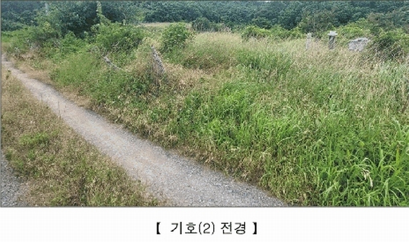 2025타경15806 충청남도 서천군 비인면 칠지리 산49 임야 경매 이미지