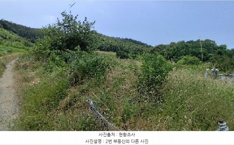 2025타경15806 충청남도 서천군 비인면 칠지리 산49 임야 경매 이미지