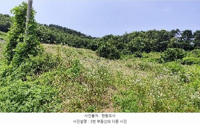2025타경15806 충청남도 서천군 비인면 칠지리 산49 임야 경매 이미지