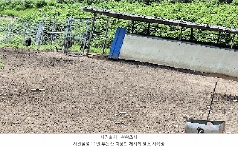 2025타경15806 충청남도 서천군 비인면 칠지리 산49 임야 경매 이미지