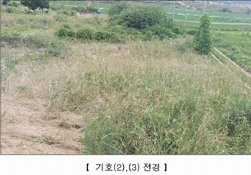2025타경15806 충청남도 서천군 비인면 칠지리 산49 임야 경매 이미지